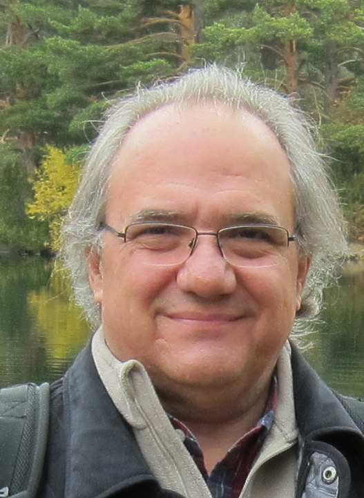 Miguel Salichs