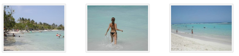 morrocoy