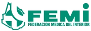 femi